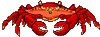 crab1.gif